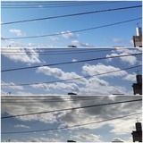 朝…【たまの日記】