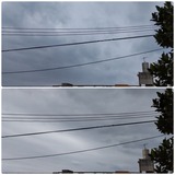 雨…【たまの日記】