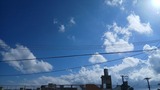 無事…【たまの日記】