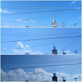 朝…【たまの日記】