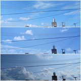 今日…【たまの日記】