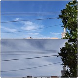 久しぶりに…【たまの日記】