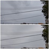 雨…【たまの日記】