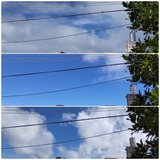 日中…【たまの日記】