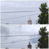 思ってた…【たまの日記】