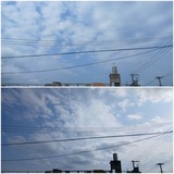 久しぶり…【たまの日記】