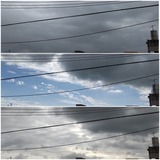 小雨…【たまの日記】