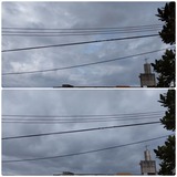 朝…【たまの日記】