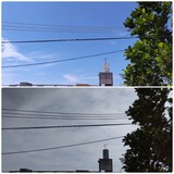 天気予報…【たまの日記】