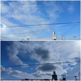 昨日…【たまの日記】