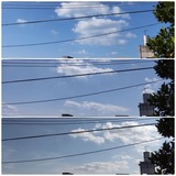 空…【たまの日記】