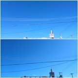暑い…【たまの日記】