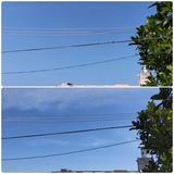 朝方…【たまの日記】
