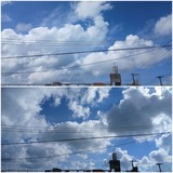 雲…【たまの日記】