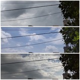 小雨…【たまの日記】