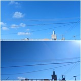 朝…【たまの日記】
