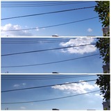 お天道様…【たまの日記】