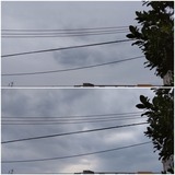 朝…【たまの日記】