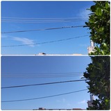 朝…【たまの日記】