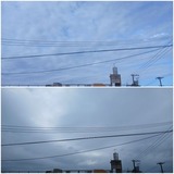 PM2:30頃…【たまの日記】