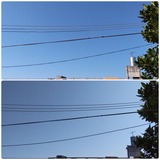 まぁ～たもや…【たまの日記】