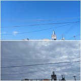 朝…【たまの日記】
