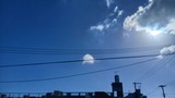 今日…【たまの日記】