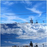 昨日…【たまの日記】
