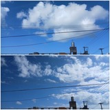 今日…【たまの日記】