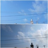 またもや…【たまの日記】