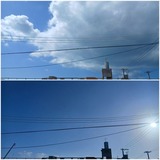 雲…【たまの日記】