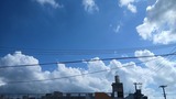 暑い…【たまの日記】