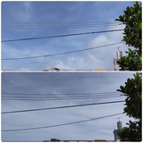 薄雲…【たまの日記】