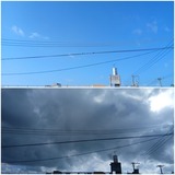今日…【たまの日記】