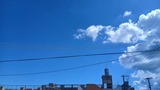 今日…【たまの日記】