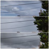 雲…【たまの日記】