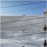 午前中…【たまの日記】