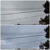 雨…【たまの日記】