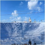 雨…【たまの日記】