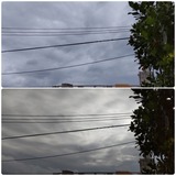 雨…【たまの日記】