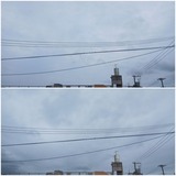 空…【たまの日記】