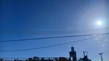 朝…【たまの日記】