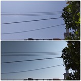 今日…【たまの日記】