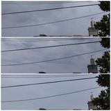 昨日の…【たまの日記】