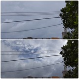 進路…【たまの日記】
