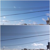 空…【たまの日記】