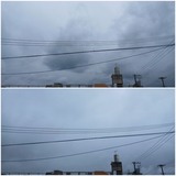 空…【たまの日記】