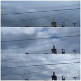 AM10:00前…【たまの日記】