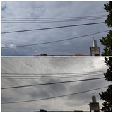 雲…【たまの日記】