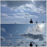 雲…【たまの日記】